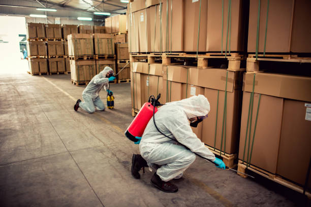 Best Local Pest Control Services  in Capitol View, SC