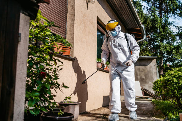 Best Pest Control for Businesses  in Capitol View, SC