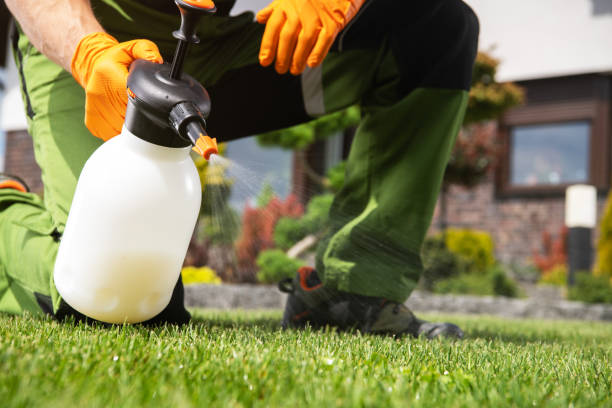 Best Affordable Pest Control Services  in Capitol View, SC
