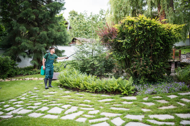 Best Commercial Pest Control Services  in Capitol View, SC