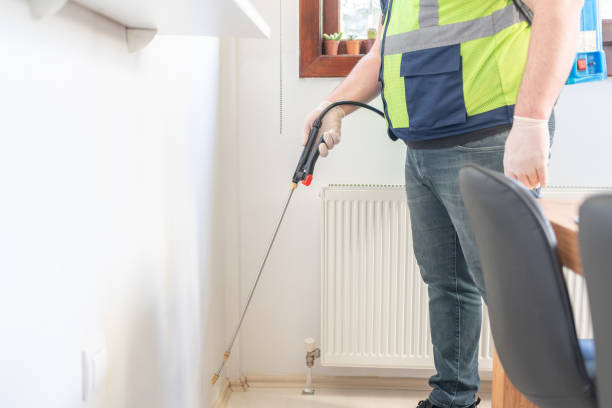Best Pest Removal Services  in Capitol View, SC