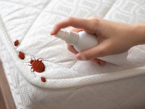 Best Pest Inspection Near Me  in Capitol View, SC