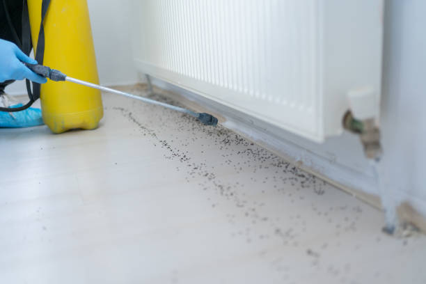 Best Pest Control Cost  in Capitol View, SC